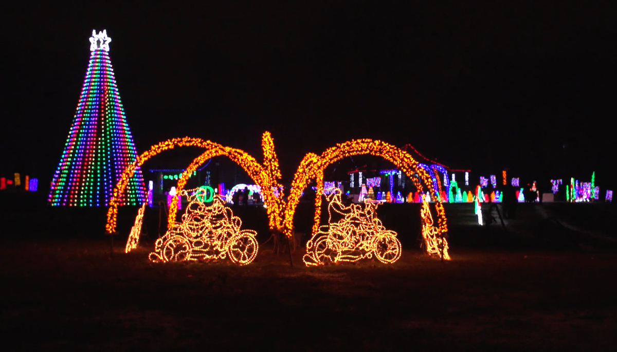 Holiday light display