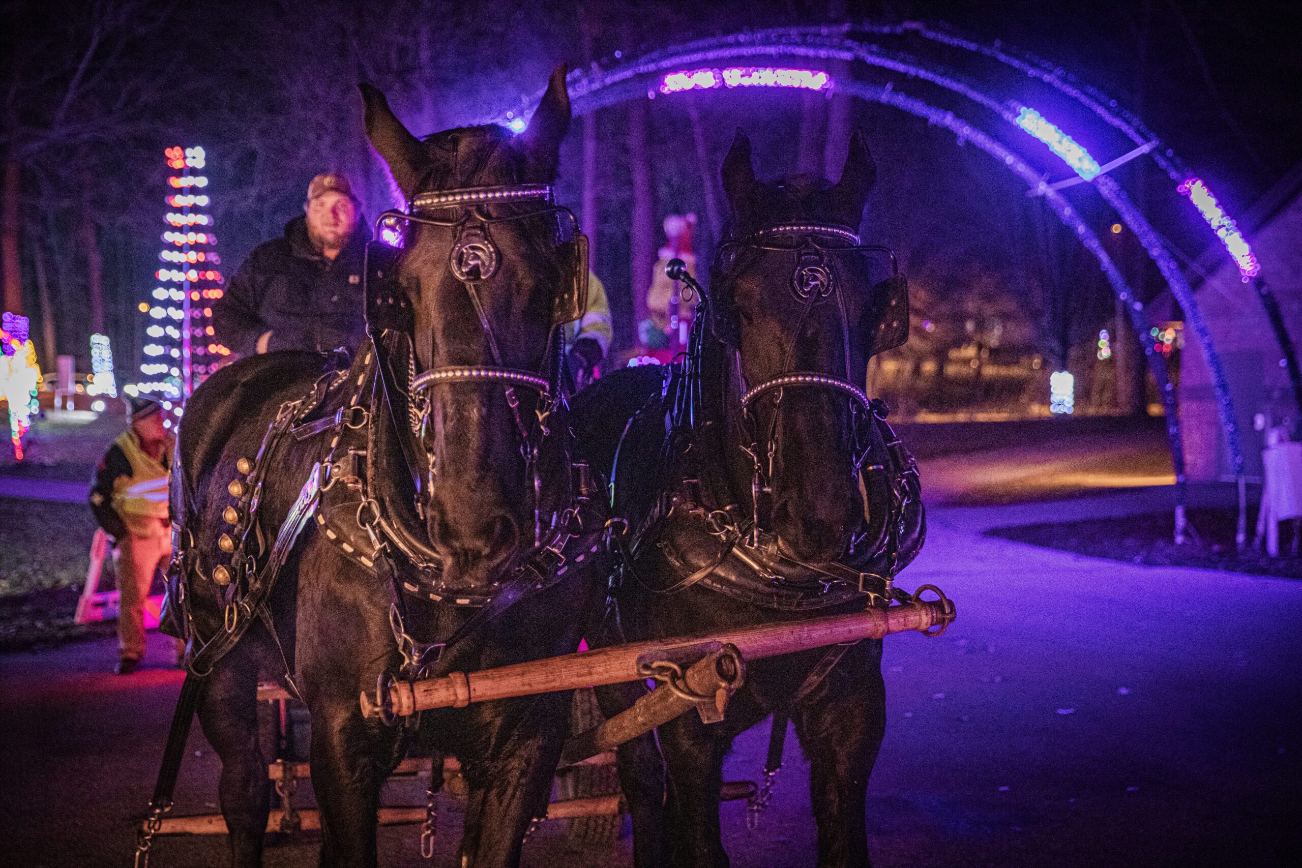 Horses pulling a wagon