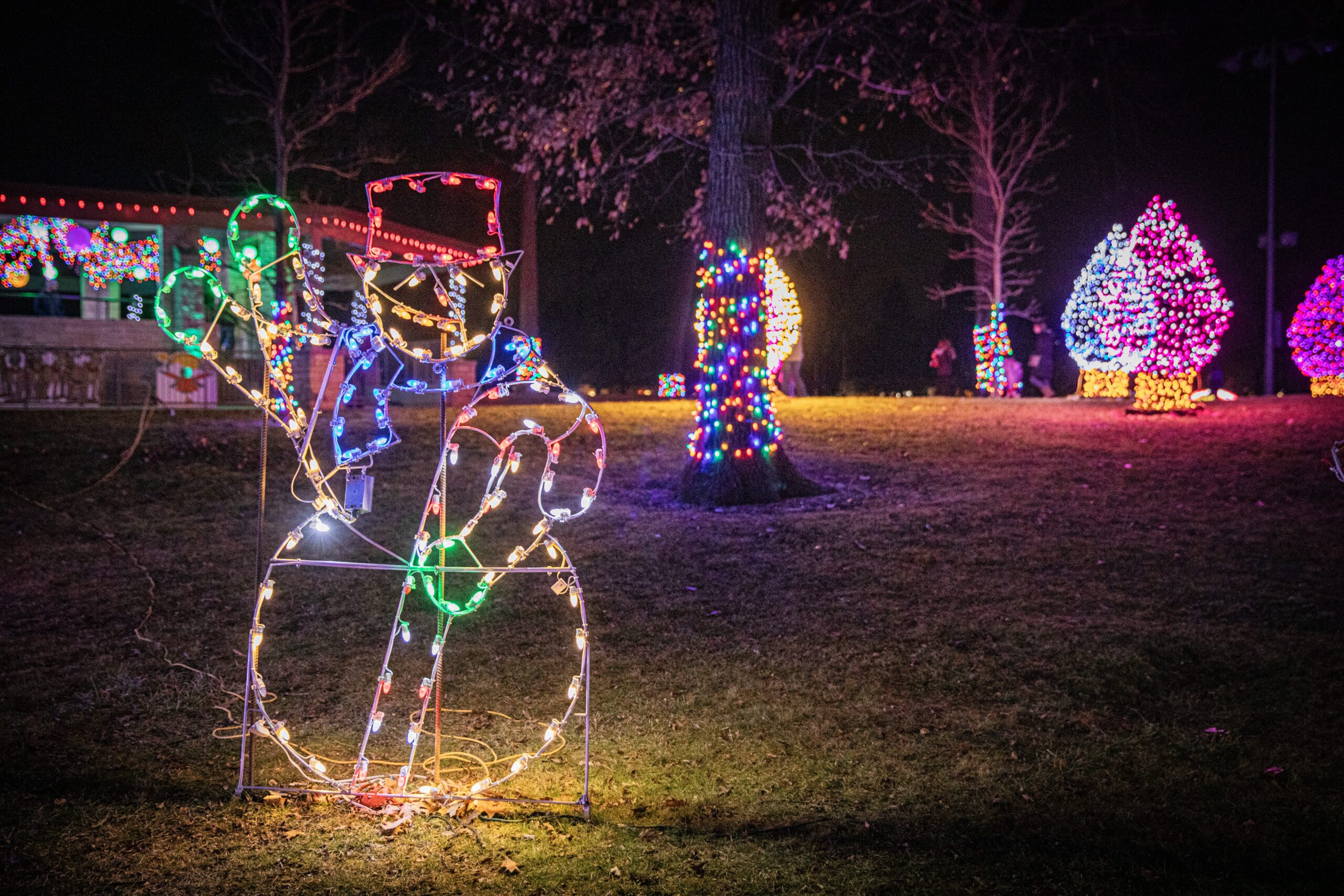 Holiday lights snowman